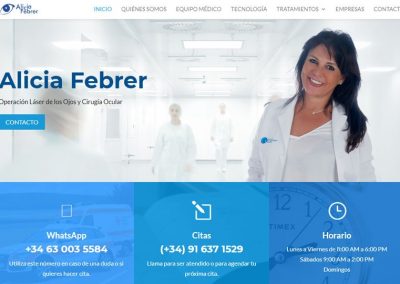 trabajos realizados Alicia Febrer